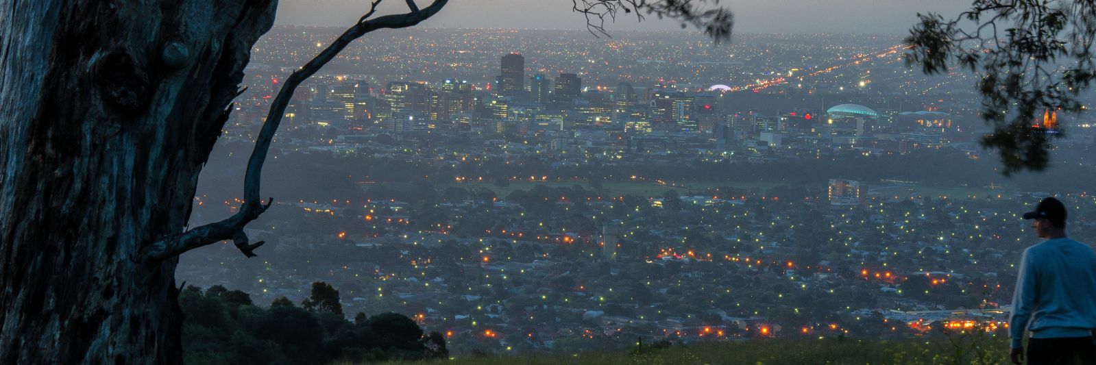 8 Unique Things To Do In Adelaide When It S Raining Aus Weekend Escapes