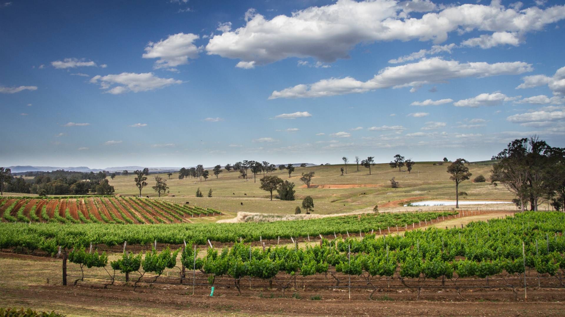 5 Hunter Valley Experiences NSW Weekend Escapes