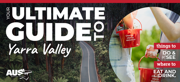 Your Ultimate Guide to Yarra Valley