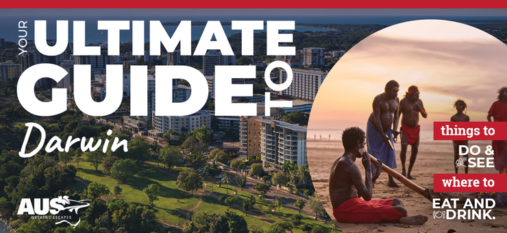 Your Ultimate Guide to Darwin