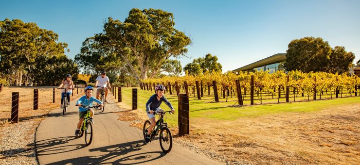Barossa by E-Bike: The Perfect Slow Day in the Vines