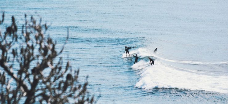 Why the Sunshine Coast Belongs on Your 2026 List