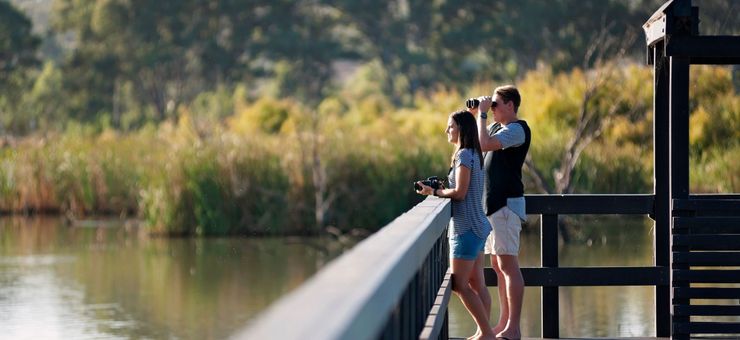 Murray Bridge in a Day: The Mini-Escape You Didn’t See Coming