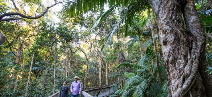 Port Macquarie by Mood: The Kind of Day You Need