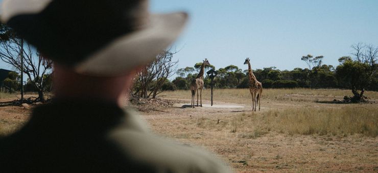 Your Next Perfect Family Weekend in Mannum