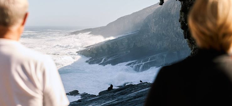 7 Unforgettable Wildlife Encounters on Kangaroo Island