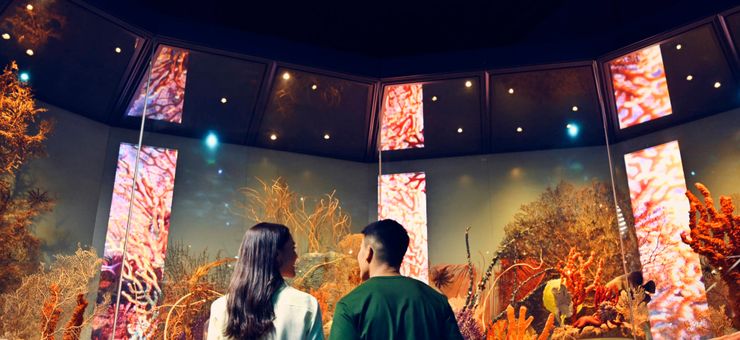 A Cultural Side of Perth: Galleries, Museums and Creative Spaces