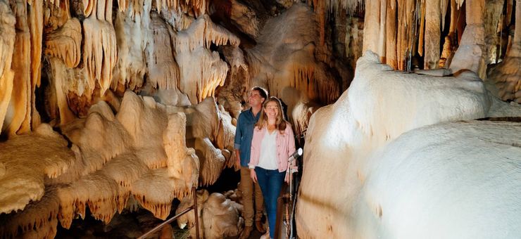 Where to Go for Nature Near Melbourne