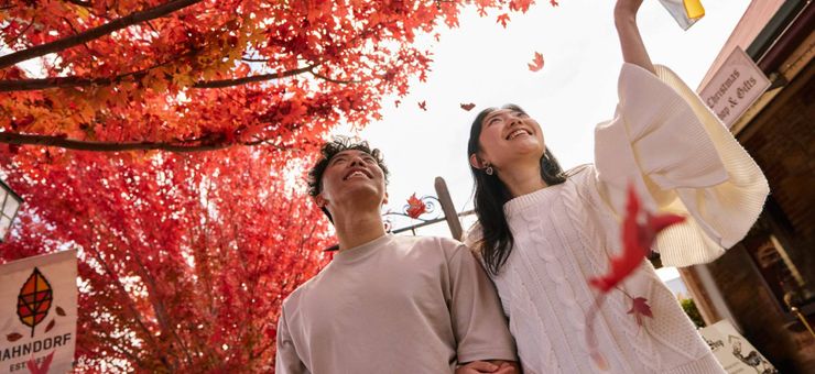 Here’s What Will Surprise You About Adelaide in 2026