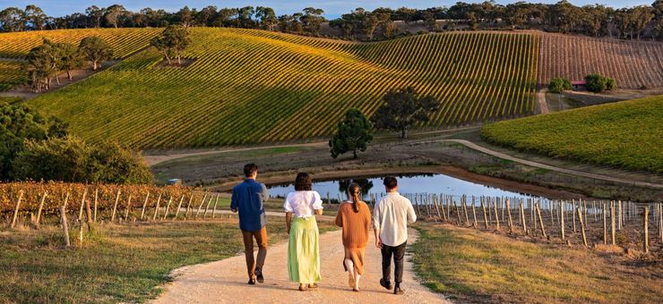 A First Timer’s Guide to Adelaide’s Wine Regions