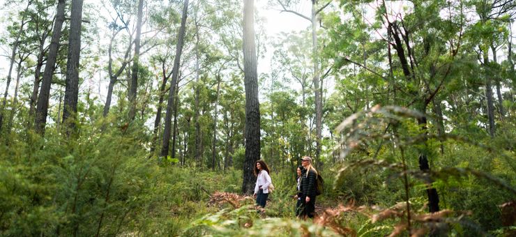 8 Outdoor Adventures in Gippsland for Explorers