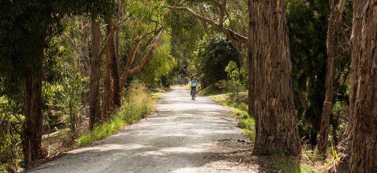 Slow Travel in the Yarra Valley: Exploring by Bike