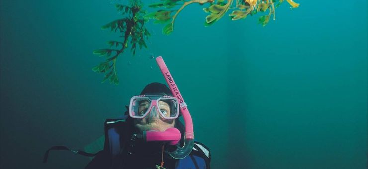6 of the Best Snorkelling Beaches in Adelaide