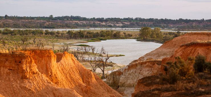 4 Murray River National Parks Accessible from Adelaide