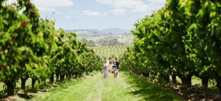 4 Places to Visit in Victoria This Spring