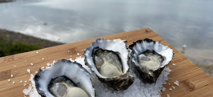 American River Is Hosting a Seafood Feast and You’re Invited