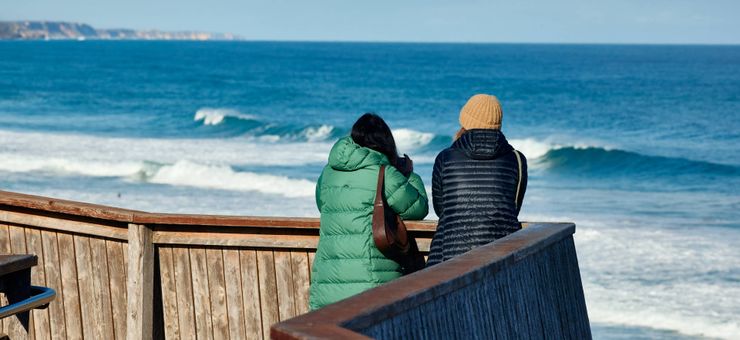 Whale Watching Melbourne: Where to See Whales This Winter