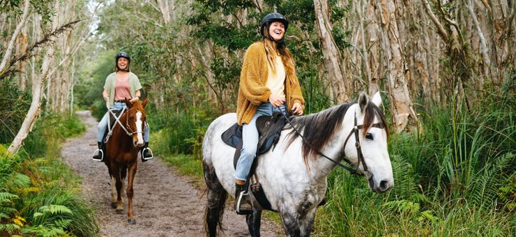 Your Handy Byron Bay Hinterland Guide: What to See, Do & Discover